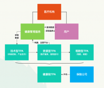 保险科技的多元化商业模式