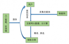 互联网保险与保险科技的关系结构