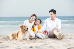 资本加持宠物保险成策略王牌 香港保险科技公司打入内地出新招